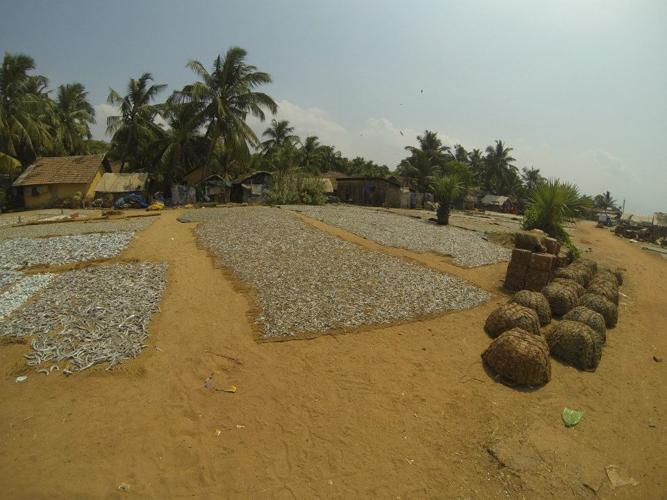 Travelogue: South India