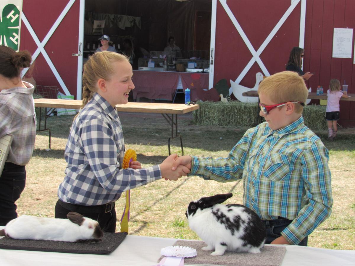 The Hood River County Fair celebrates 100 years Hoodriver