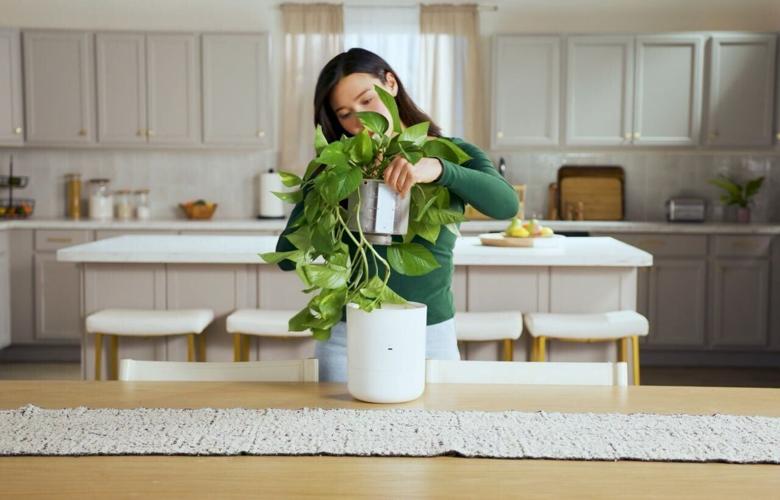 LeafyPod starter set