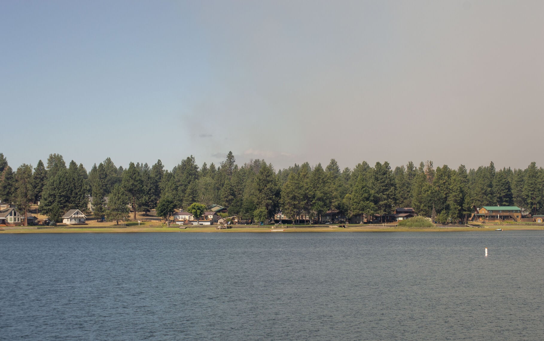 Grasshopper Fire