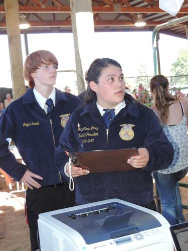 2016 Hood River County Fair, 4-H results
