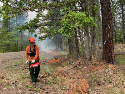 Mt. Adams Resource Stewards fight fires with fire