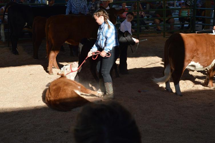 2015 Hood River News Staff Fair Moments