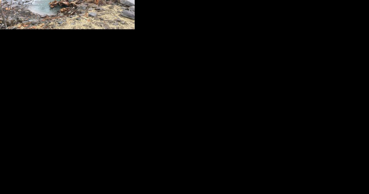 Grant to fund five stream restoration projects - Vimarsana News