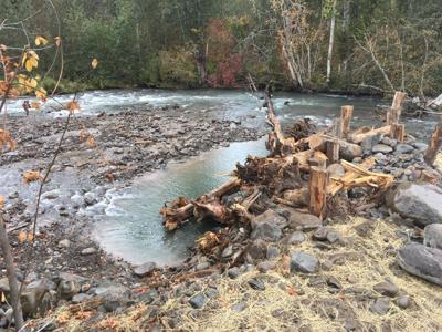 East Fork restoration work