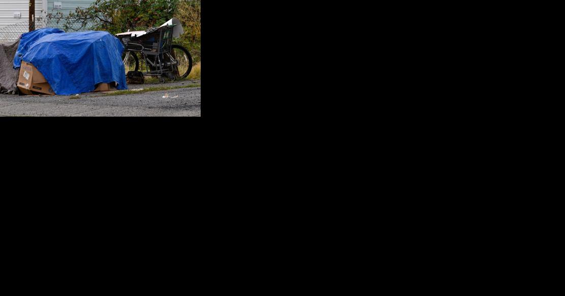 The Dalles votes to adopt ordinance addressing abandoned shopping carts - Vimarsana News