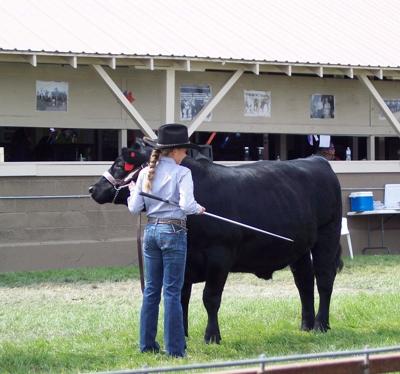 B2 Glenwood column 1.JPG