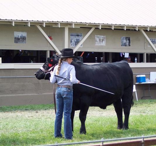 B2 Glenwood column 1.JPG