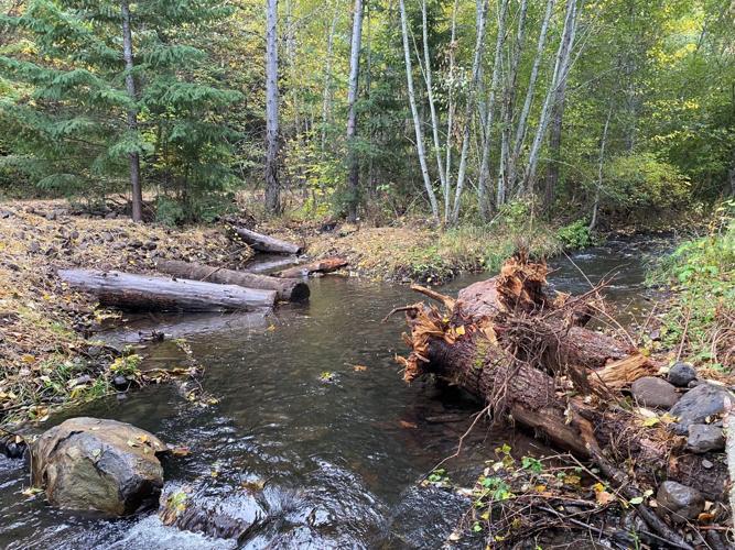 East Fork restoration work