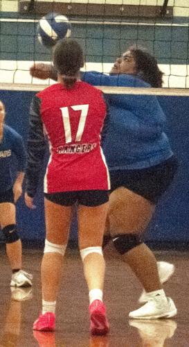 SrDanika Wright_lyle_volleyball_2024_0007351.jpg