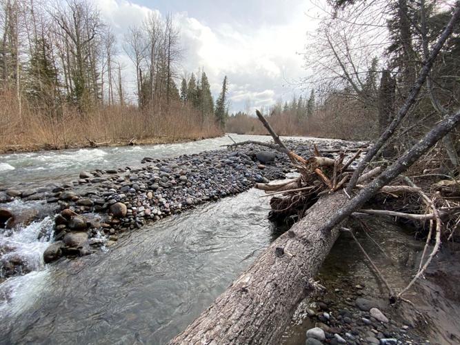 East Fork restoration work