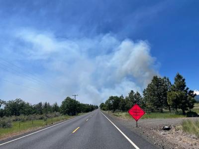 Rocky Restoration Project area