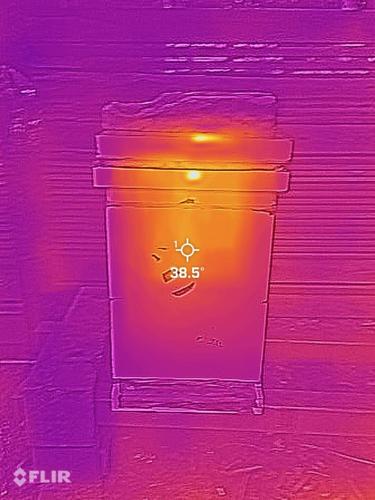 Winter Cluster Hive #3.jpeg