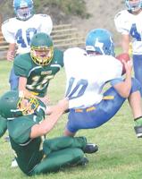 Davis leads SWC to 73-12 victory