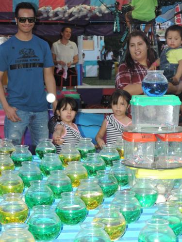 County Fair continues through Saturday