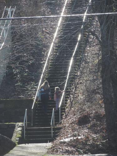 Sunny Climbs