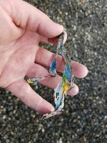 Weekend blackout caused by stray Mylar balloon