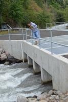 2015 in Review: June to December