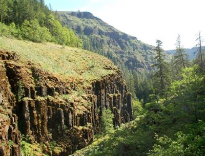 DNR seeking community participation on Klickitat Community Forest