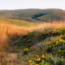 Gorge summer activities: A starter pack - Vimarsana News