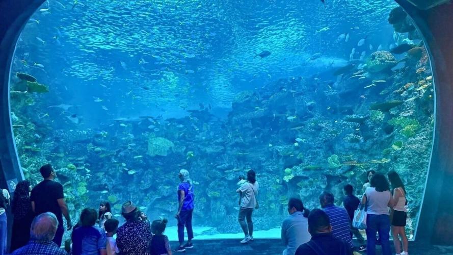 Seattle Aquarium