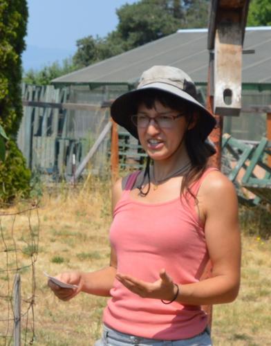 Food Bank garden feeds community
