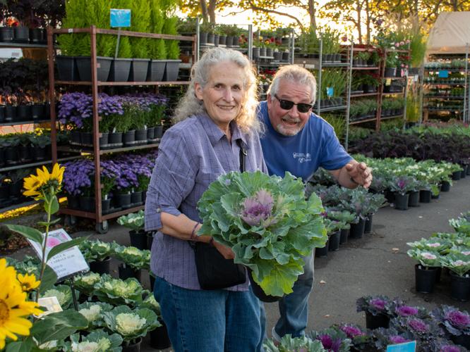 Hood River Harvest Fest