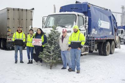Tree pickup Jan. 7