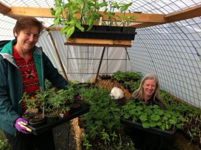 Blossom Day plant sale at Rockford Grange