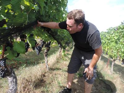 A slice of local life -- Garrit Stoltz makes wines of influence