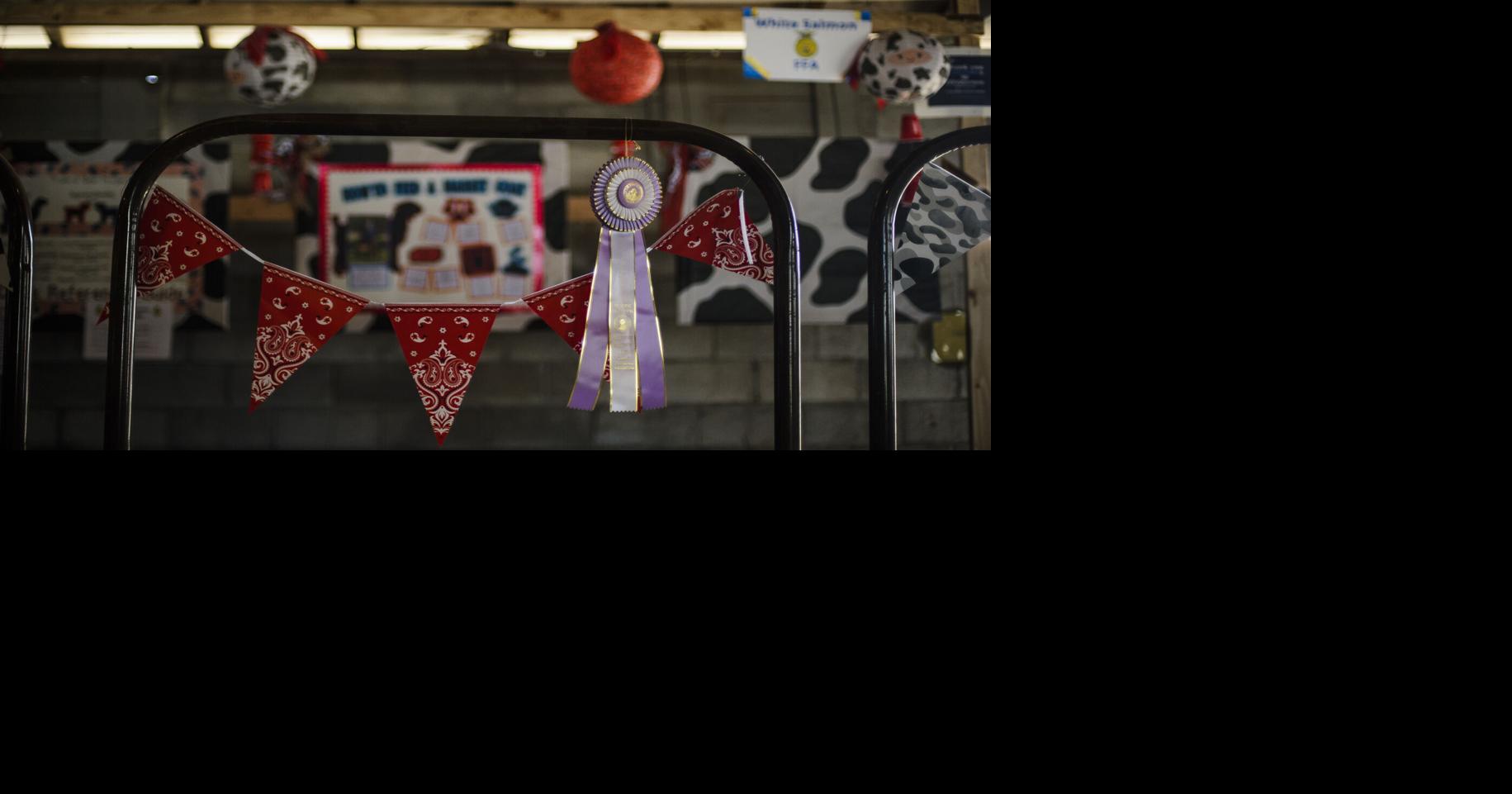 Klickitat County Fair photos