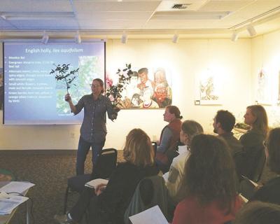 Dig, pull, bag for NW invasive plant control