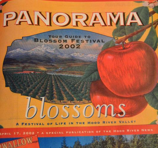 Panorama 2002
