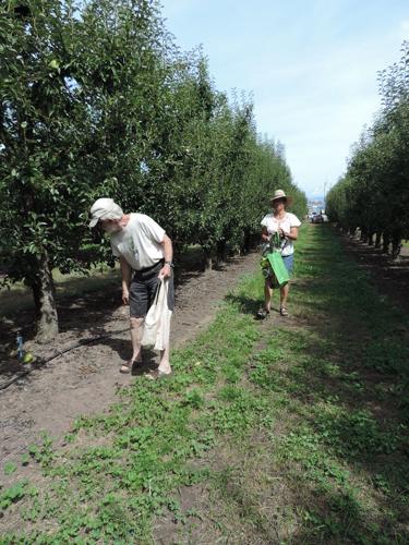 Gleaners Get Going
