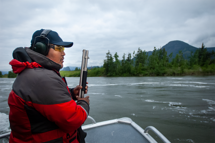 Hazing sea lions not a long-term fix