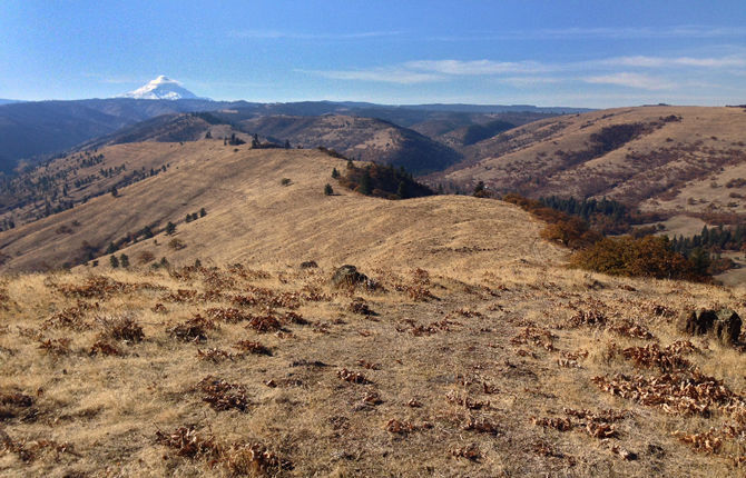 Land acquisition completes Mill Creek Ridge preservation