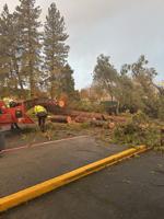 HRCSD cancels school following strong winds, campus hazards, other districts delayed or unaffected