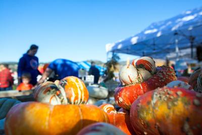 Harvest Fest