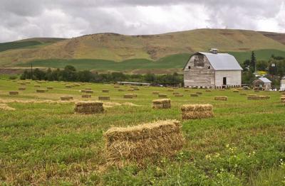 Dufur farm