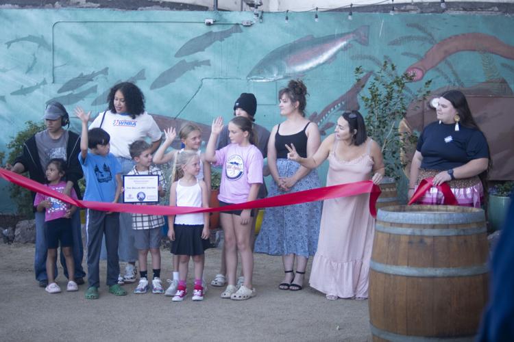 mill creek vineyard_4.jpg