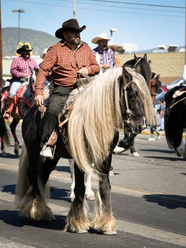 2025-04-26 Cherry festival II 301-2.jpg
