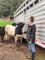 OSU Extension Service: Have livestock evacuation plan ready