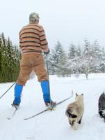 Snow storms hit mid-week