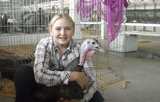 Wasco County Fair sees big 4-H turnout