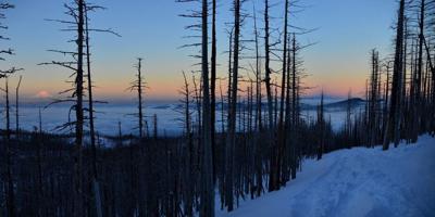Photo of the day: Beautiful devastation