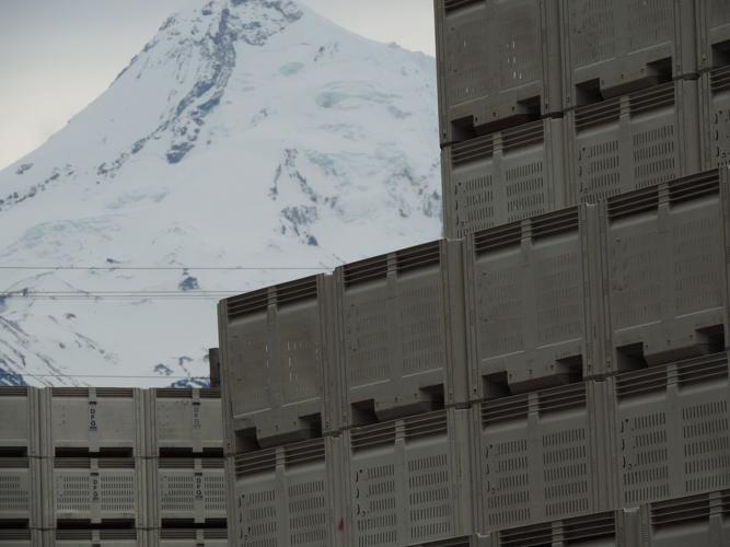 'The climate is always changing'