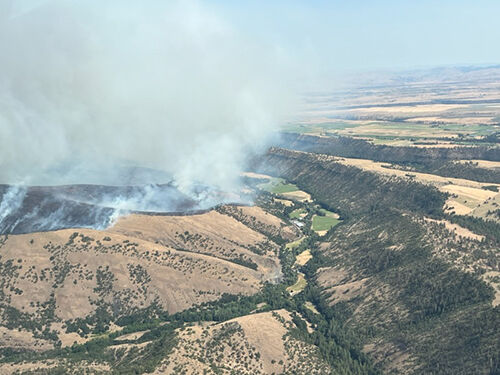 Larch Creek fire has grown, no structures burned | News ...