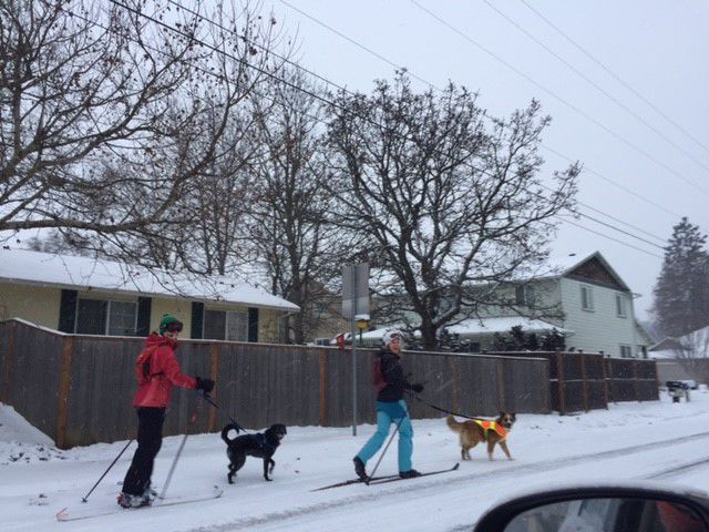Readers’ photos say, ‘Happy mid-winter, wherever you are!’