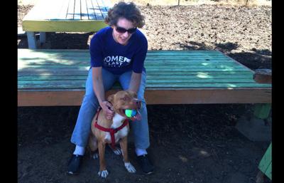 Shelter struggles to place pit bulls