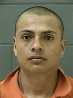 Child exploitation operation nets five